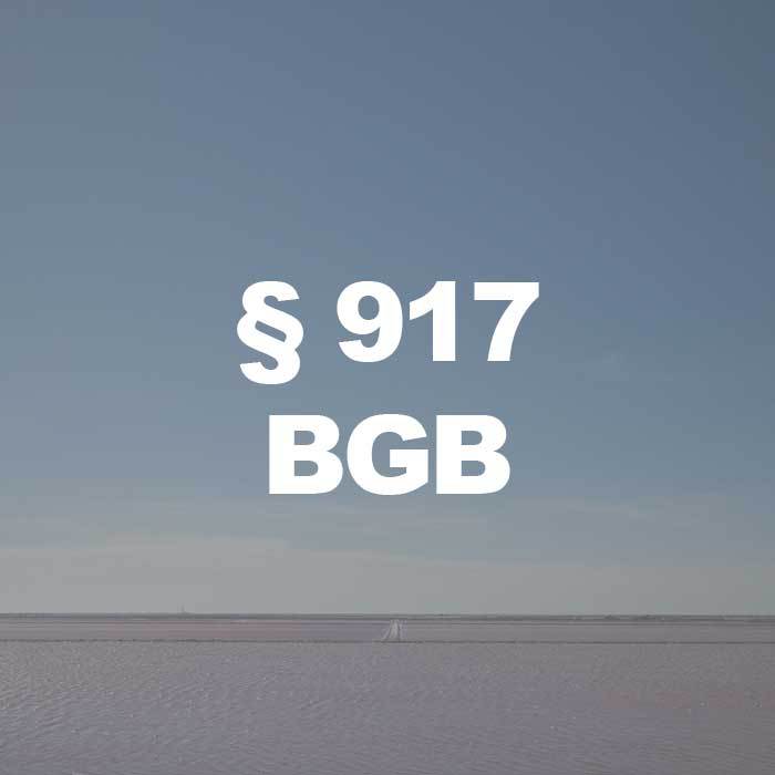 BGB (§ 917 Abs. 1 Satz 1 BGB) Notweg